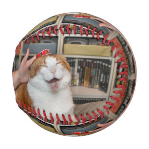 Podgy Scarlett Baseball