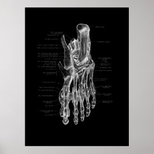 Podiatriste de l'anatomie du pied Poster Médicale