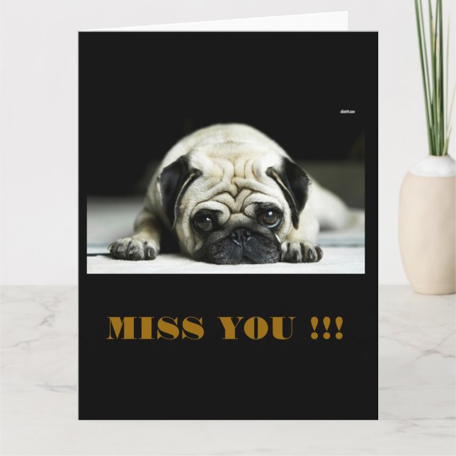 POE POE THE LITTLE PUG CARD (Front)