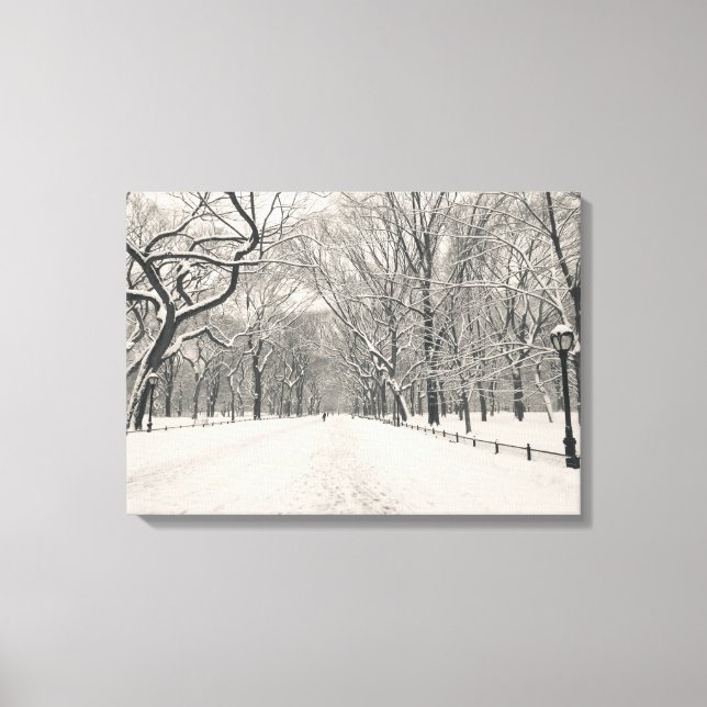 Poet's Walk - Central Park - New York City Canvas Print (Front)