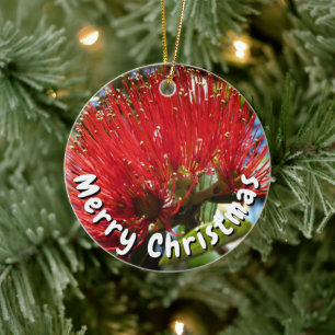 POHUTAKAWA XMAS KIWI CARD CERAMIC ORNAMENT