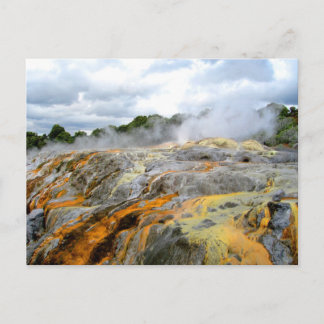 Pohutu Geyser, Rotorua, New Zealand Postcard