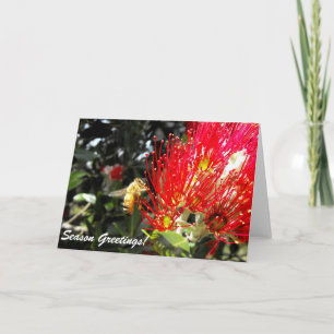 Pohutukawa Bloom Fête Carte de voeux