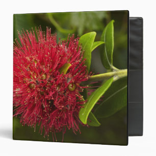 Pohutukawa Flower, Dunedin Binder