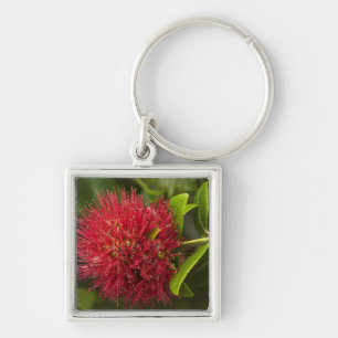 Pohutukawa Flower, Dunedin Keychain