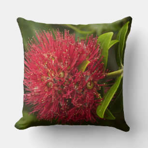 Pohutukawa Flower, Dunedin Throw Pillow