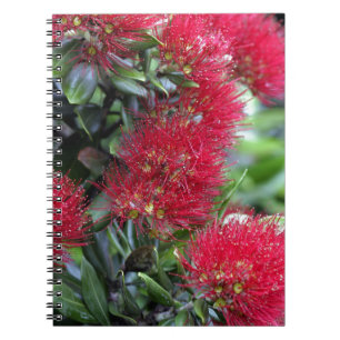 Pohutukawa tree flowering notebook