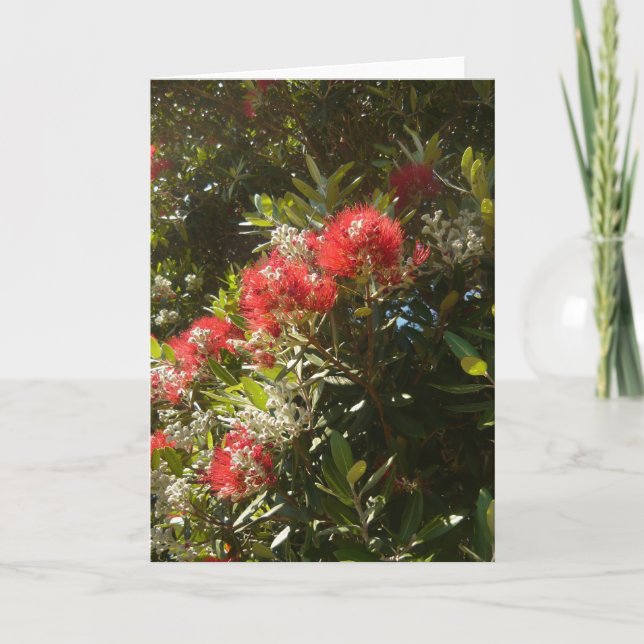 Pohutukawa tree holiday card (Front)