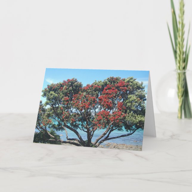 Pohutukawa tree on beach (NZ Christmas Tree) Holiday Card (Front)