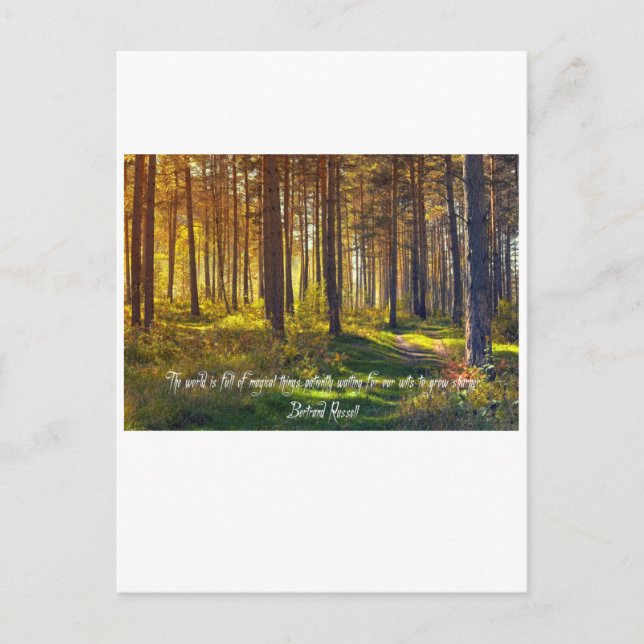 Poignant Betrand Russell Quote Postcard (Front)