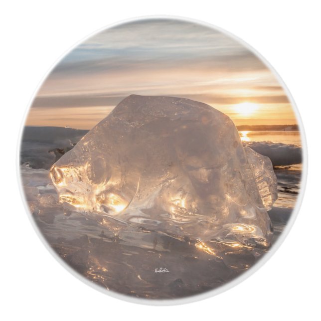 poignée de porte, photo glace en forme de poisson (Devant)