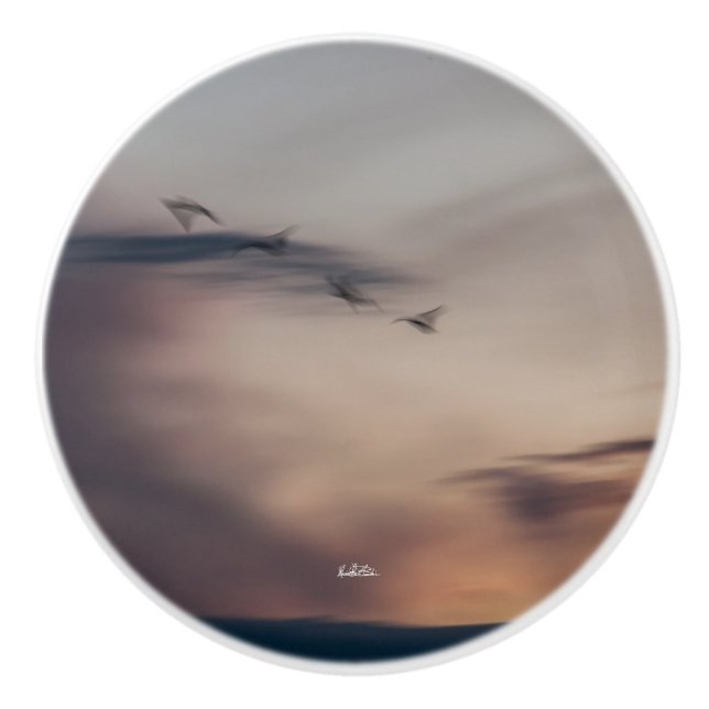 poignée de porte photo oiseaux abstraite ceramic knob (Front)