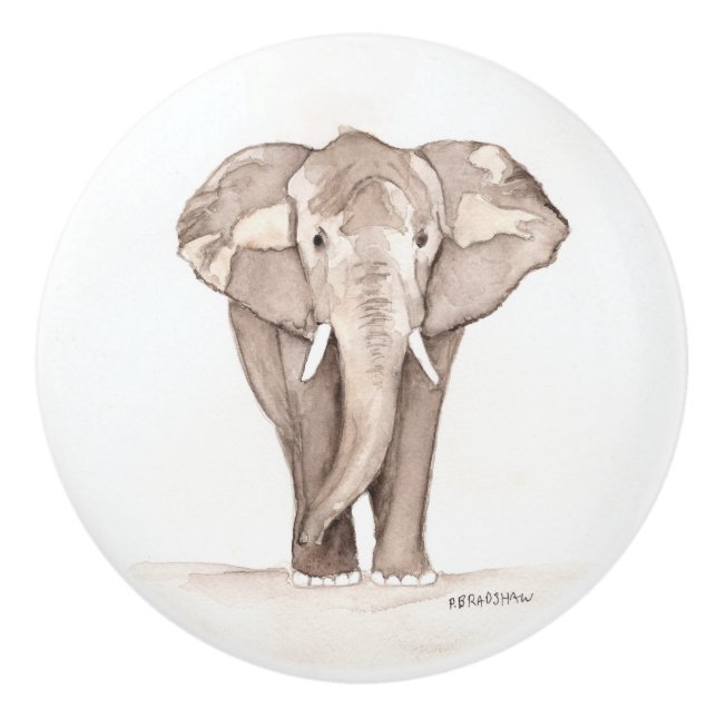 poignée de tiroir éléphant (Devant)