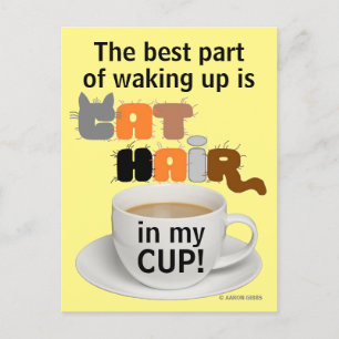 Poils de chat dans ma tasse ! Carte postale humori