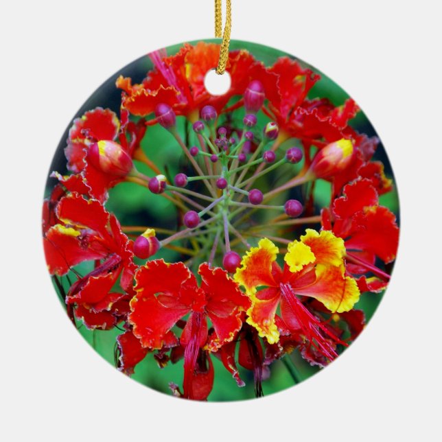 Poinciana (ohai-ali'i) Hawaiian Flower Ornament (Front)