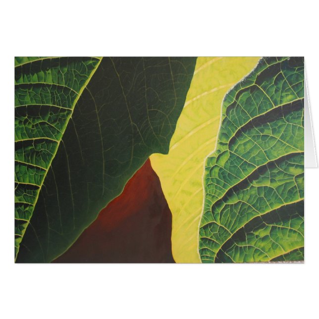 Poinsettia (Front Horizontal)