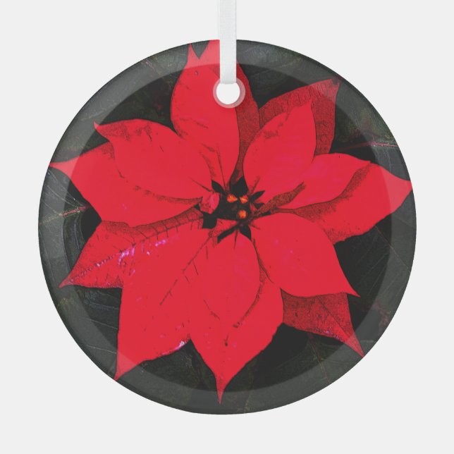 Poinsettia 6078 glass ornament (Front)