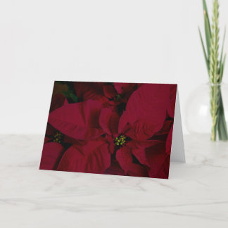 Poinsettia #7 card