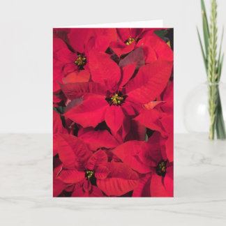 Poinsettia Christmas Card