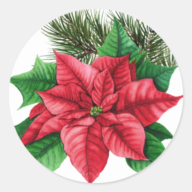 Poinsettia Christmas Sticker (Front)