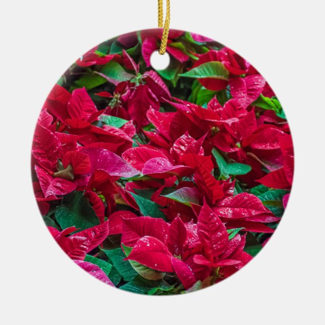 Poinsettia Christmas Tree ornament (Front)