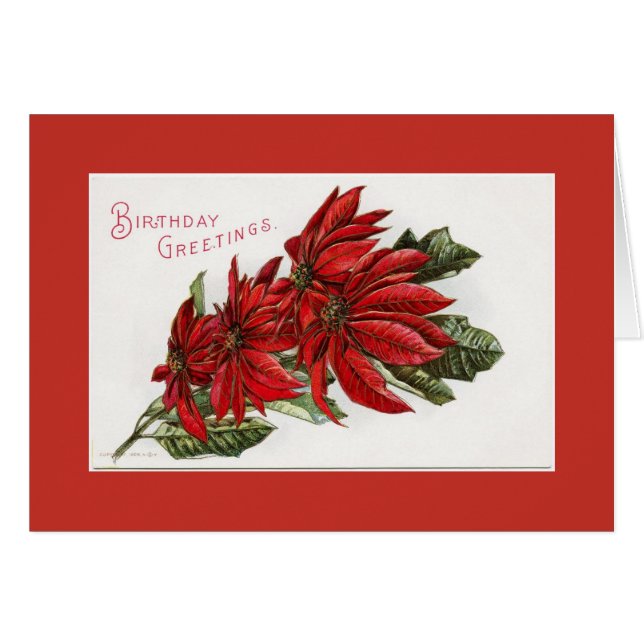 Poinsettia December Birthday Greeting Card (Front Horizontal)