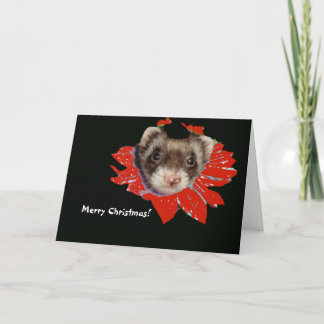 Poinsettia Ferret Christmas Card