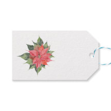 Poinsettia 