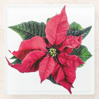 Poinsettia Glass Coaster