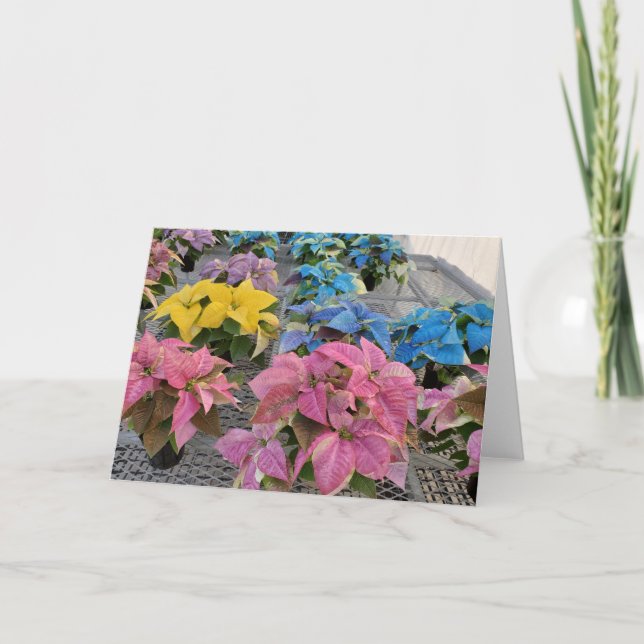 Poinsettia greeting card (Front)