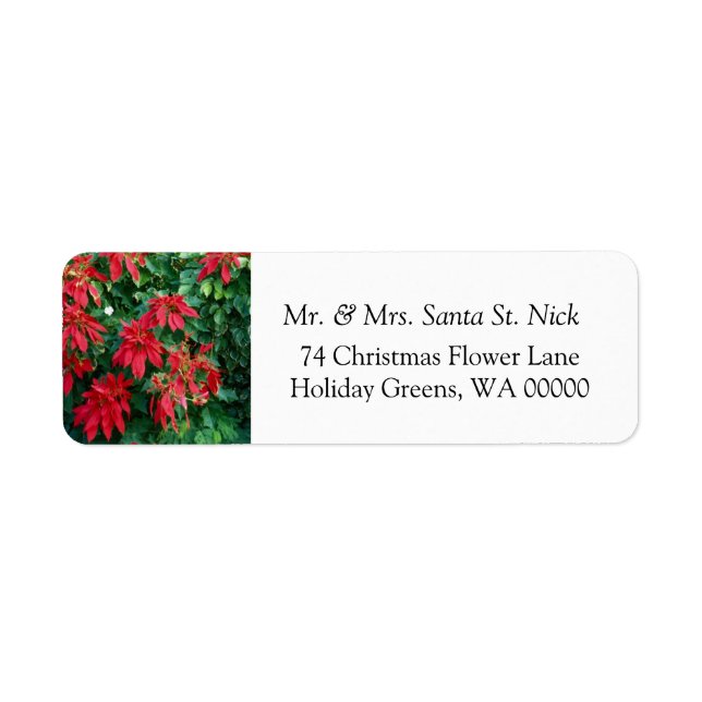 Poinsettia Merry Christmas Card Étiquettes du cour (Devant)