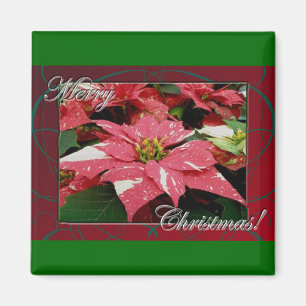 Poinsettia Merry Christmas Magnet