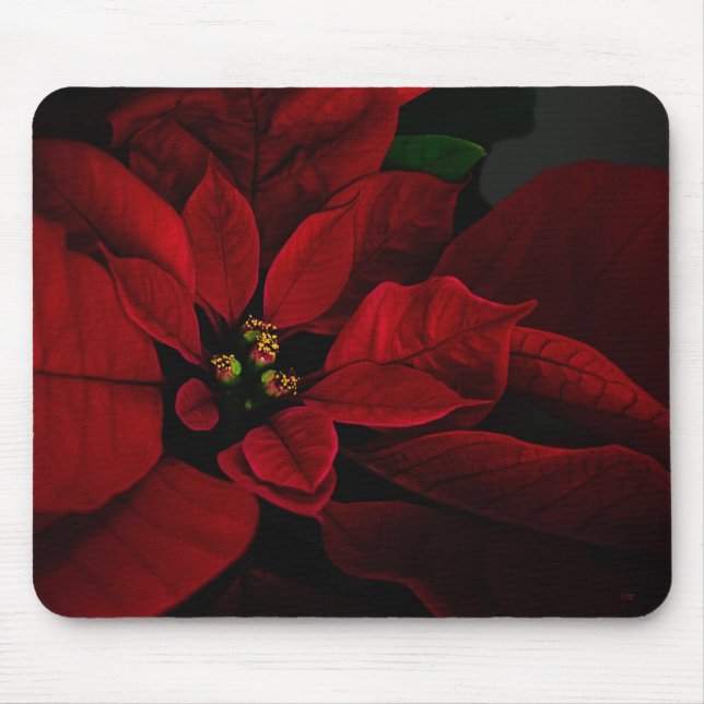 Poinsettia Mousepad (Front)
