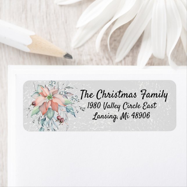 Poinsettia Neige, feuilles, baies, aquarelle (En situation)