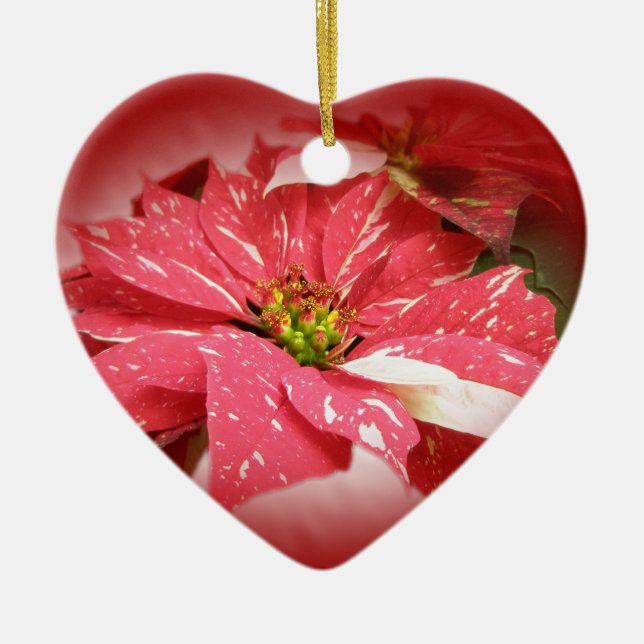 Poinsettia on Red Ceramic Ornament (Front)
