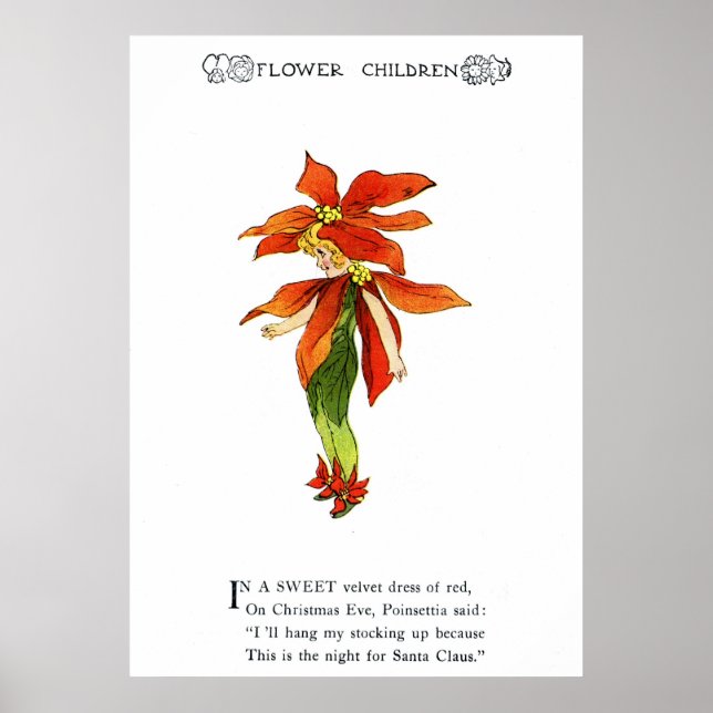 Poinsettia Poster (Front)