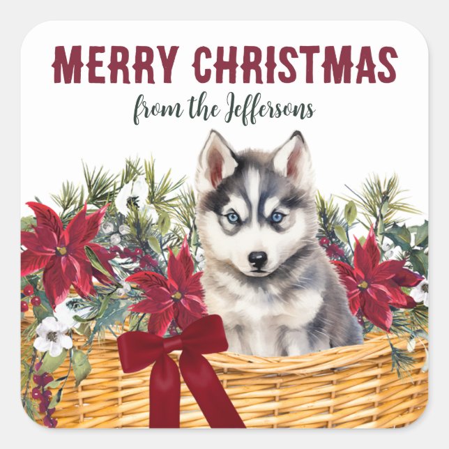 Poinsettia Siberian Husky Christmas Basket Square Sticker (Front)