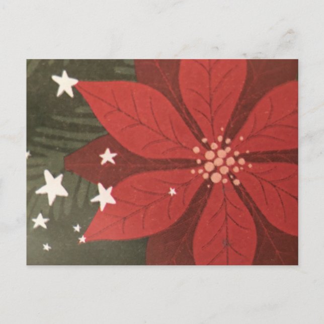 Poinsettia & Stars Holiday Postcard (Front)