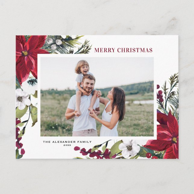 Poinsettias and Fir Leaves Merry Christmas Photo Holiday Postcard (Front)