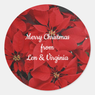 Poinsettias for Christmas, ready to customize Classic Round Sticker