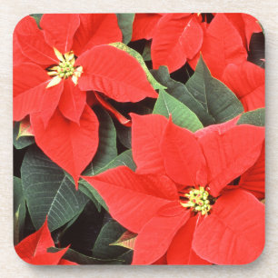 Poinsettias rouges Ensemble de Dessous de verre de