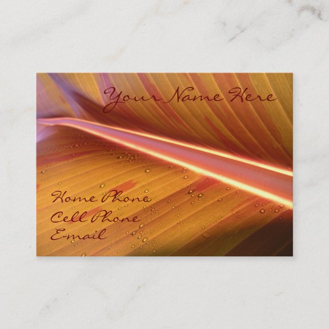 Point de carte légère de profil (Devant)