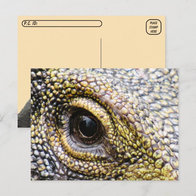 Point de passage - Crocodile Moniteur Lizard Carte (Devant / Derrière)