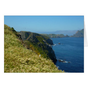 Point d'inspiration II d'Anacapa aux îles Anglo-No