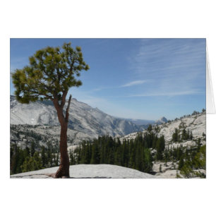 Point I d'Olmsted au parc national Yosemite