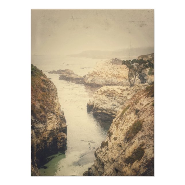 Point Lobos Coast Photo Print (Front)