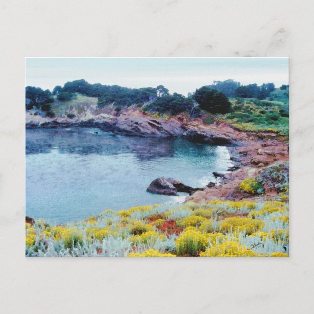 Point Lobos Postcard (Front)