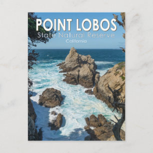 Point Lobos State Natural Reserve California Postcard