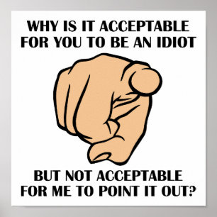 Point Out Idiots Funny Poster
