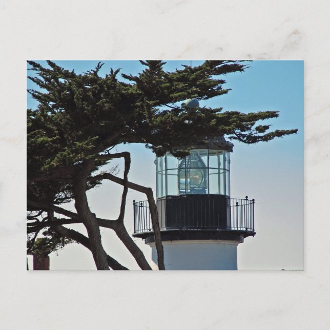 Point Pinos Lighthouse Postcard (Front)